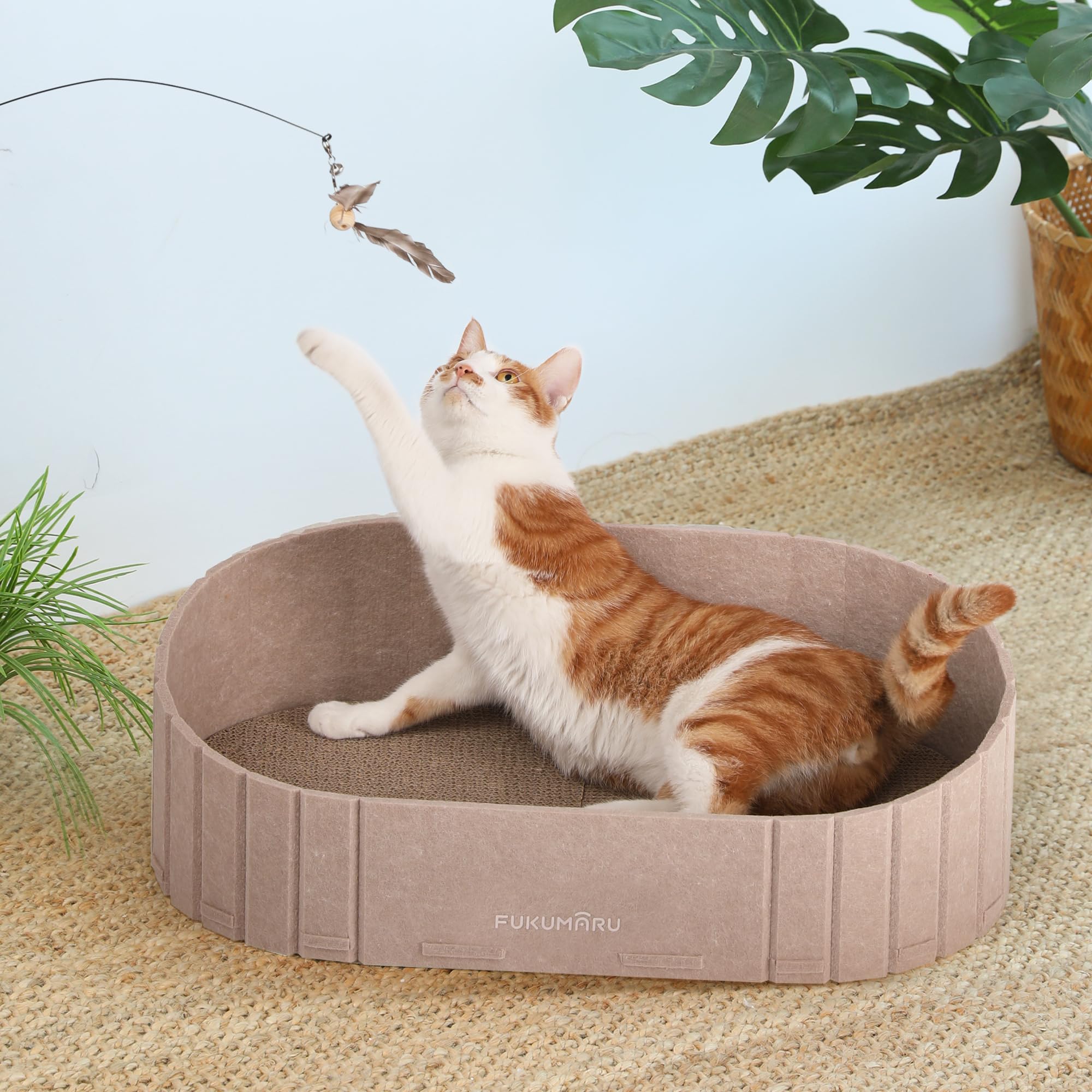 FUKUMARU — Rascador con Forma de Sofá para Gato, Reversible y Desmontable, Cama Rascadora Redonda para Gatos de Interior