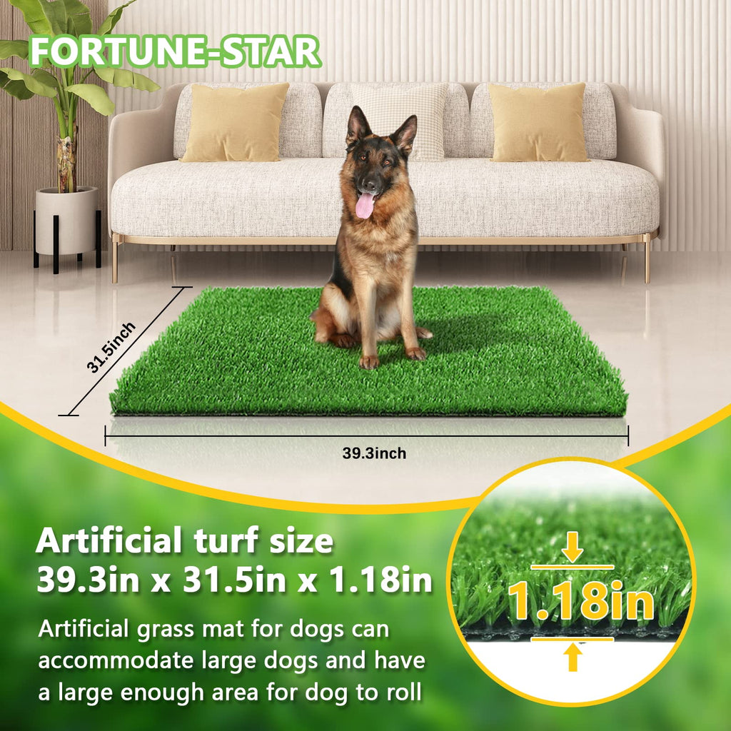 Fortune-star — Tapete de Pasto Artificial Reutilizable para Entrenamiento de Baño para Perros, Uso Interior y Exterior