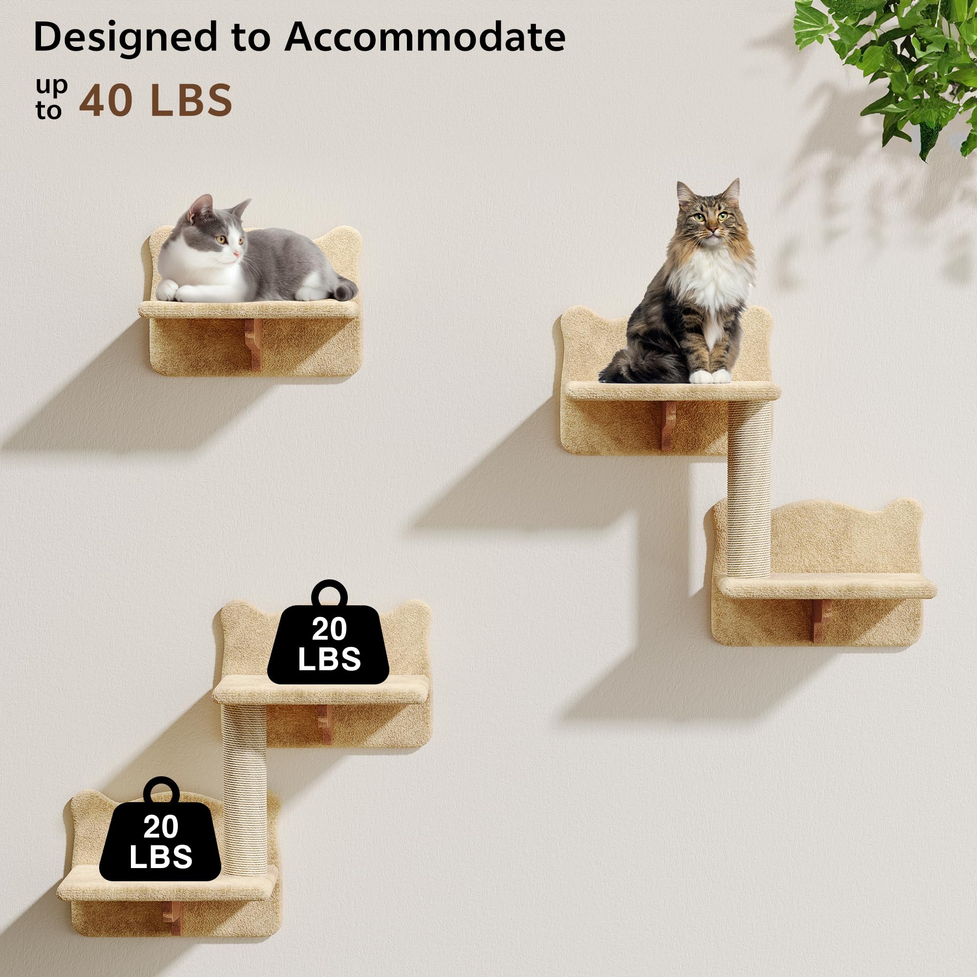 Homiflex — Repisas de Pared para Gatos, Mueble Escalador Montado en Pared para Felinos