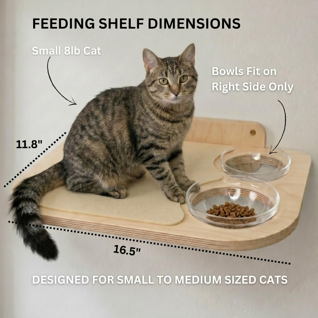 Estantes de Abedul para Gatos — Mueble de Pared con 3 Escalones y Tazones de Vidrio para Alimentación