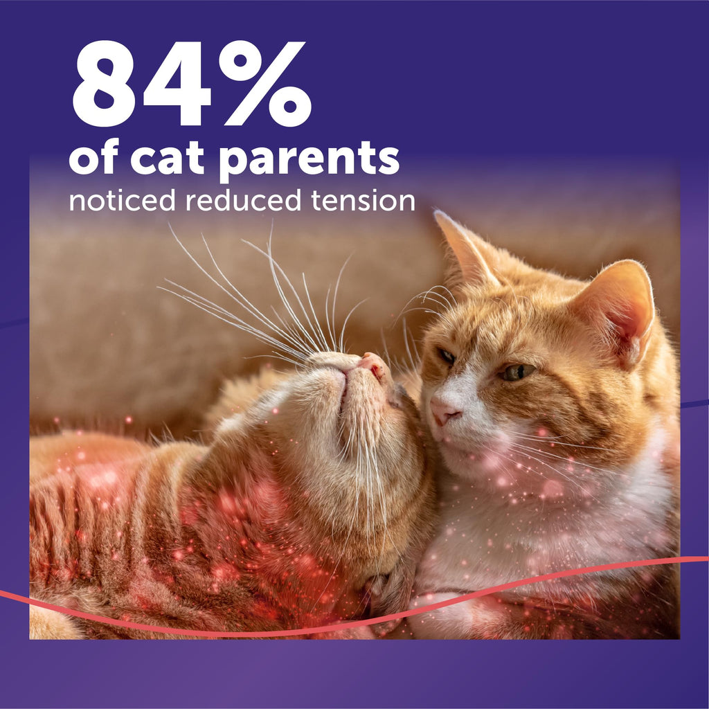 Feliway MultiCat — Difusor de Feromonas para Reducir Tensión entre Gatos (Kit Iniciador 30 Días)