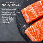 Diamond Naturals Premium — Croquetas con Proteína de Cordero, Superalimentos y Probióticos para Perro Adulto