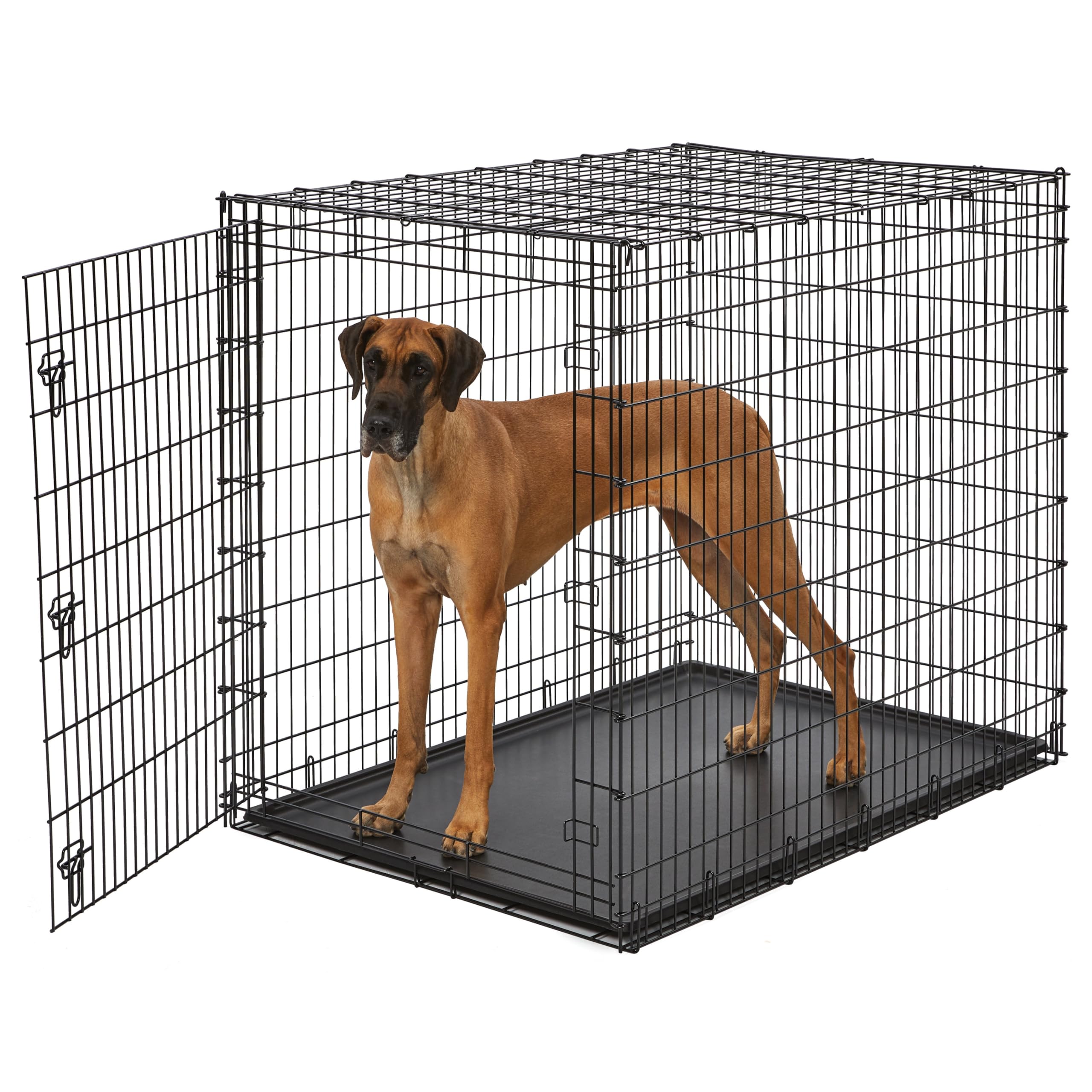 MidWest iCrate — Jaula Plegable de Doble Puerta con Divisor para Perros Medianos