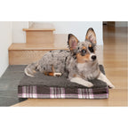 Furhaven — Cama Ortopédica con Cubierta Lavable y Desmontable para Perro