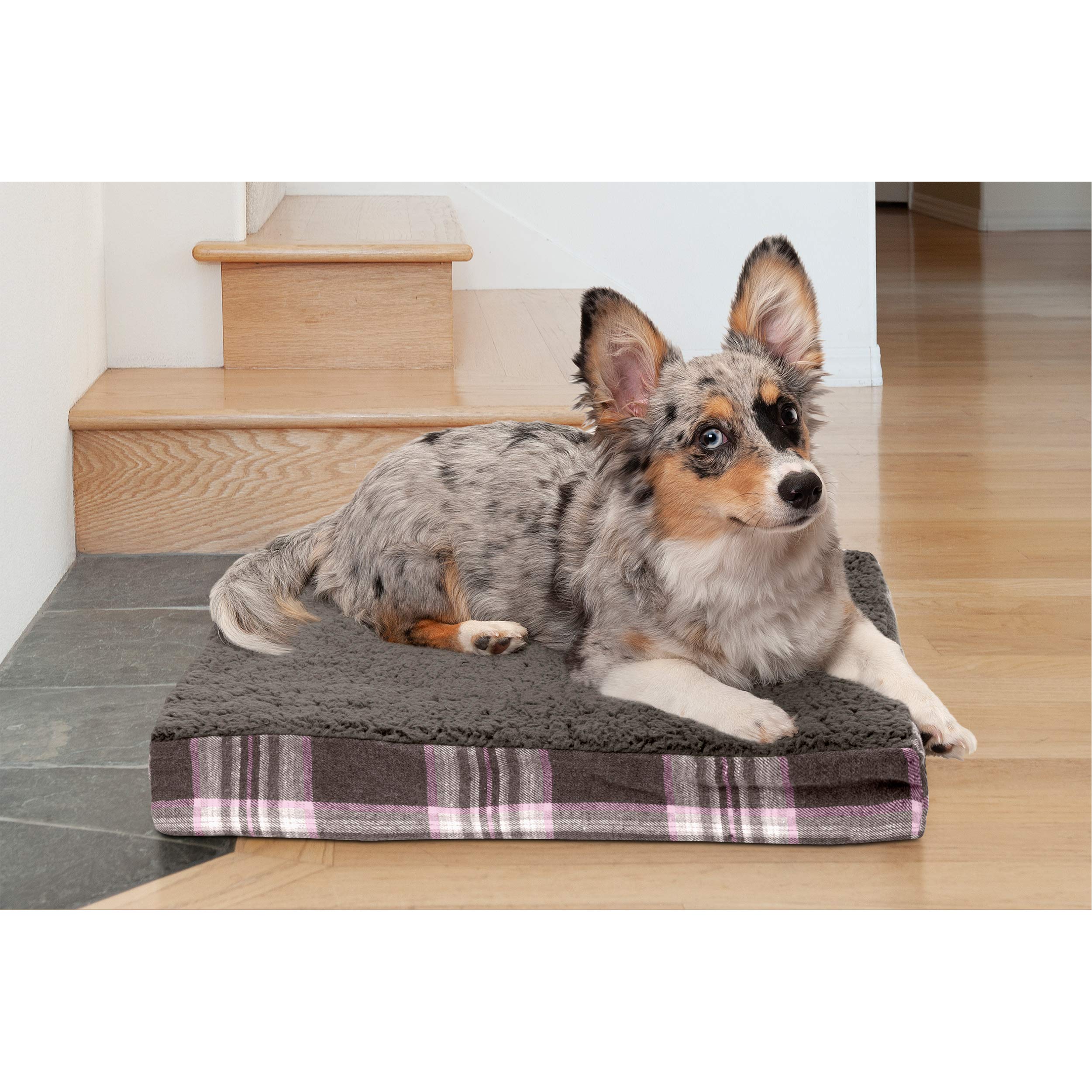 Furhaven — Cama Ortopédica con Cubierta Lavable y Desmontable para Perro