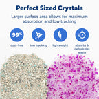 PetSafe ScoopFree — Arena de Cristal con Control de Olores para Gato
