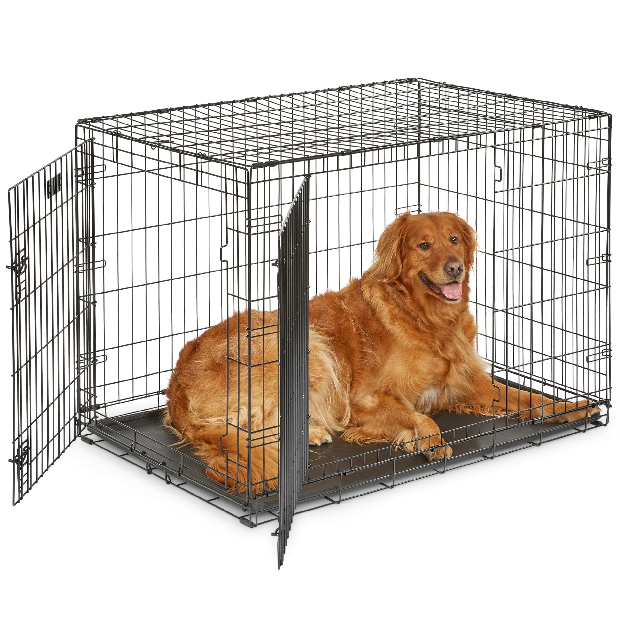 MidWest iCrate — Jaula Plegable de Doble Puerta con Divisor para Perros Medianos