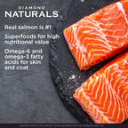 Diamond Naturals Premium — Croquetas con Proteína de Cordero, Superalimentos y Probióticos para Perro Adulto