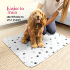 Tapete Entrenador Lavable y Reutilizable para Perros — Protección Impermeable Súper Absorbente contra Orina, Paquete de 2