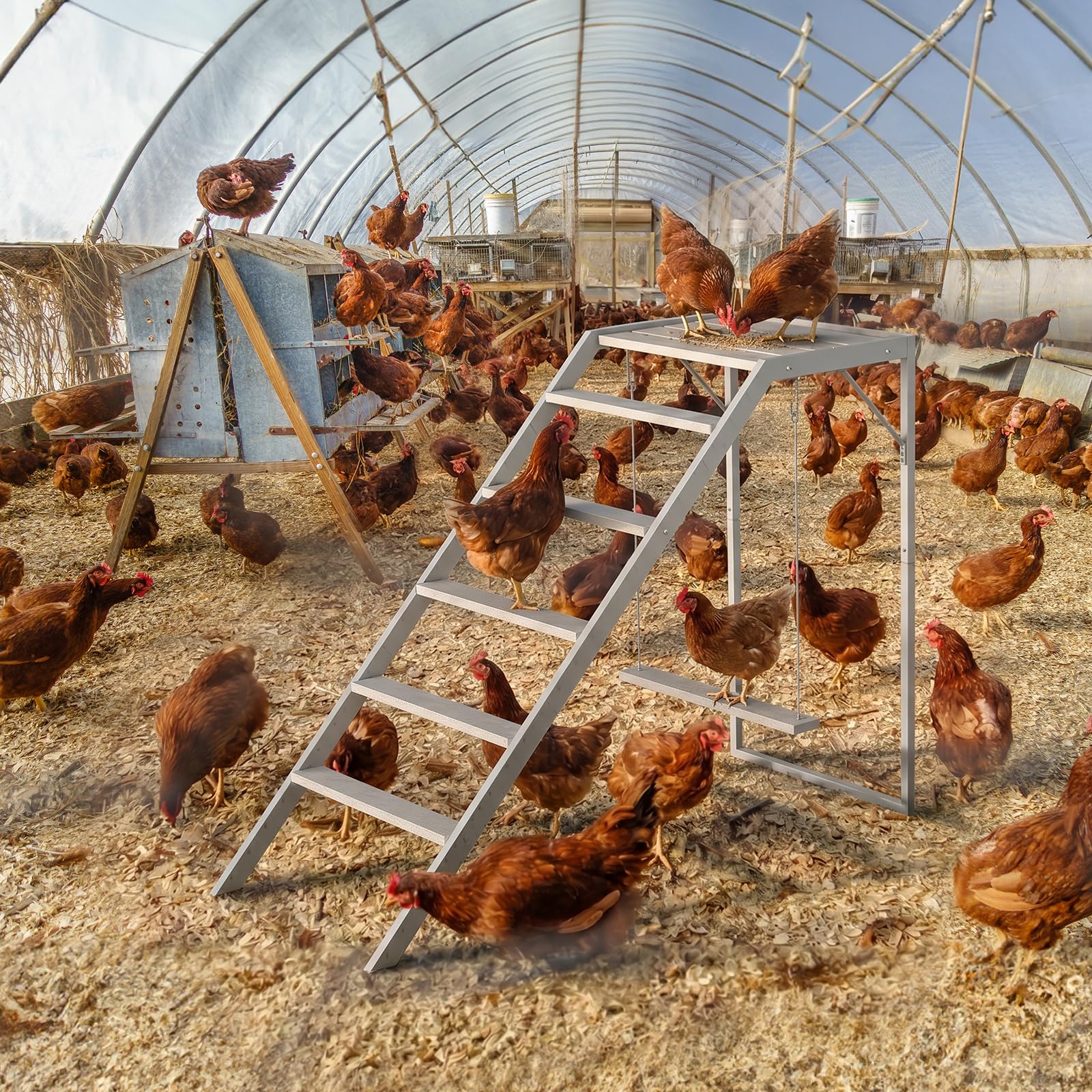 Estructura de Juego para Gallinas y Mascotas — Columpio, Escalera y Percha de Madera con Barras de Descanso para Gallinas, Conejos y Aves de Traspatio