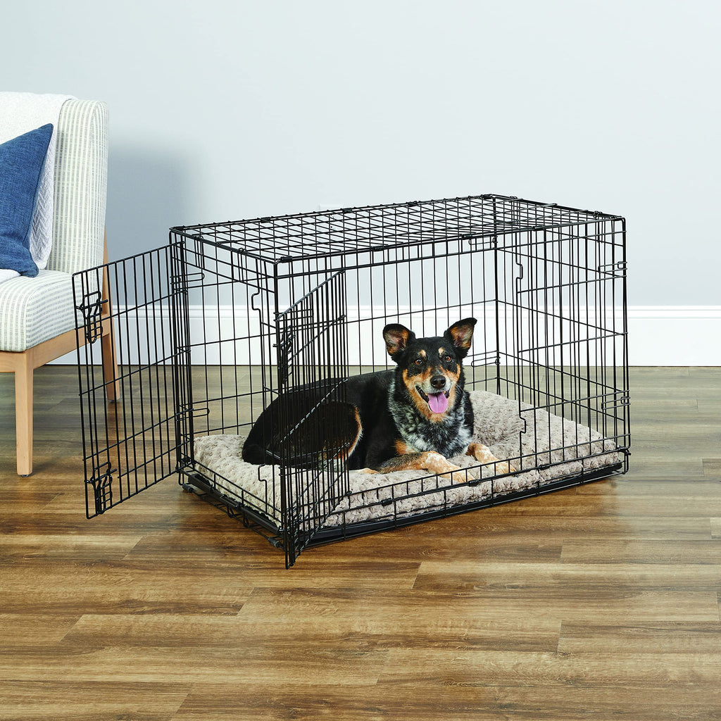 New World — Jaula para Perro Plegable de Metal con Doble Puerta