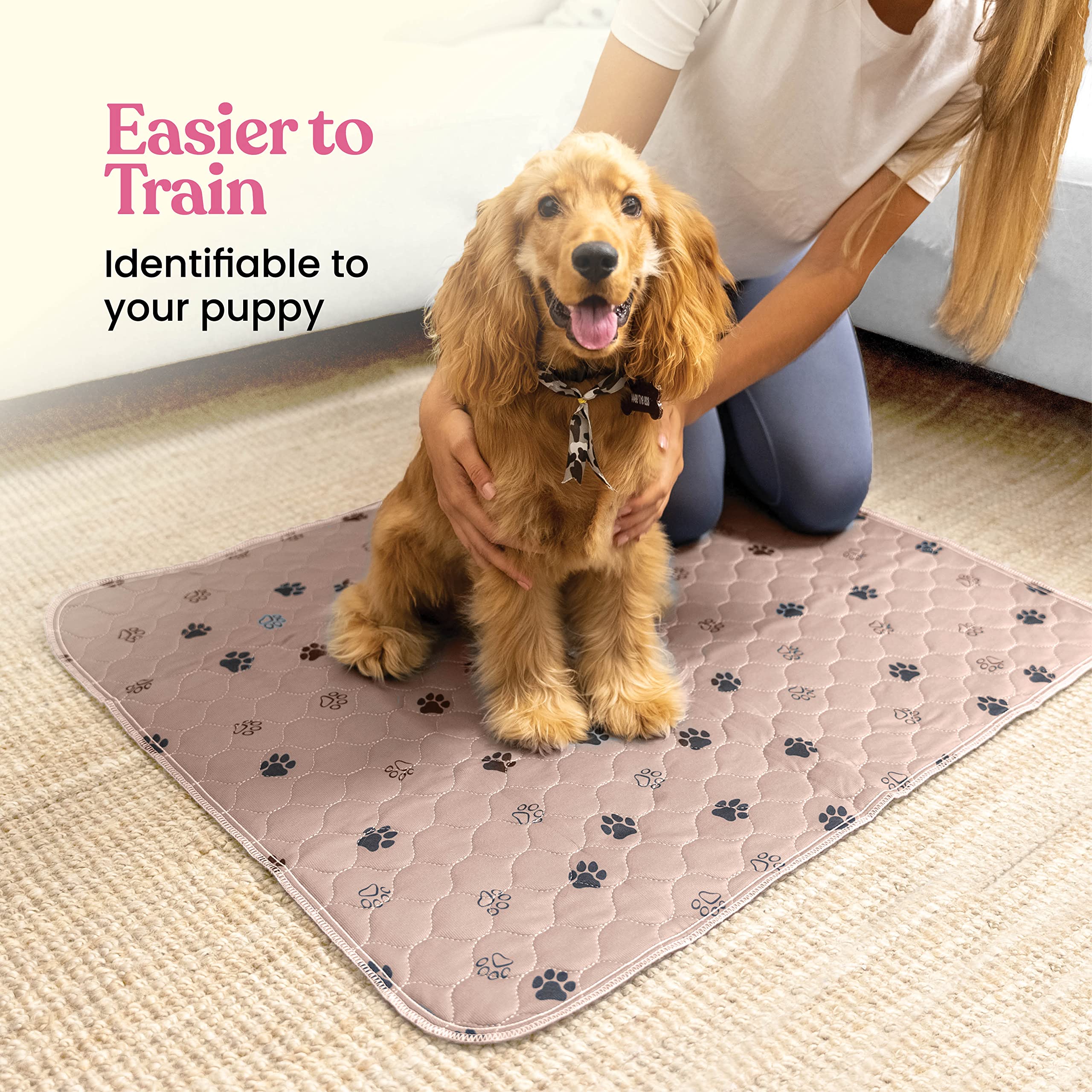 Tapete Entrenador Lavable y Reutilizable para Perros — Protección Impermeable Súper Absorbente contra Orina, Paquete de 2