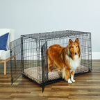 New World — Jaula para Perro Plegable de Metal con Doble Puerta