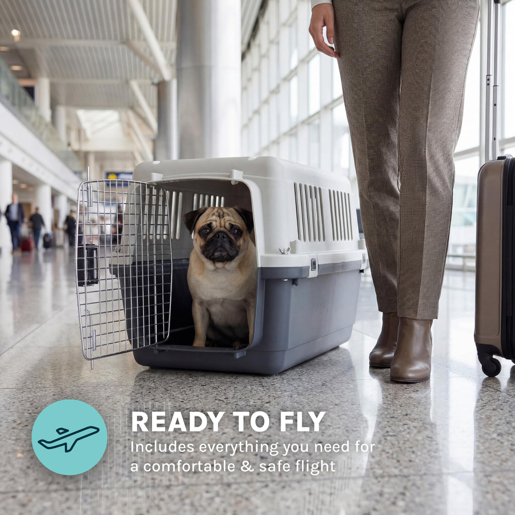 SportPet — Kennel de Viaje Certificado por Aerolíneas con Comederos para Perros y Gatos