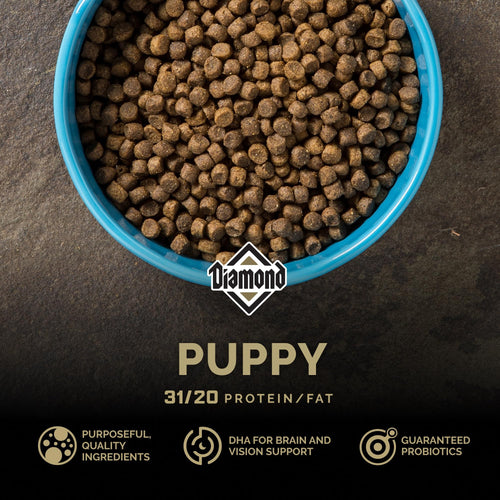 Diamond Premium Puppy — Alimento Seco Completo y Balanceado con Proteína de Pollo y Probióticos para Cachorros