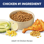 Hill's Science Diet Adult 1-6 — Alimento Seco de Nutrición Premium para Gato Adulto