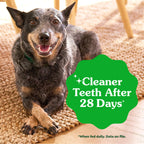 Greenies Teenie — Premios Dentales Naturales para Perro Pequeño