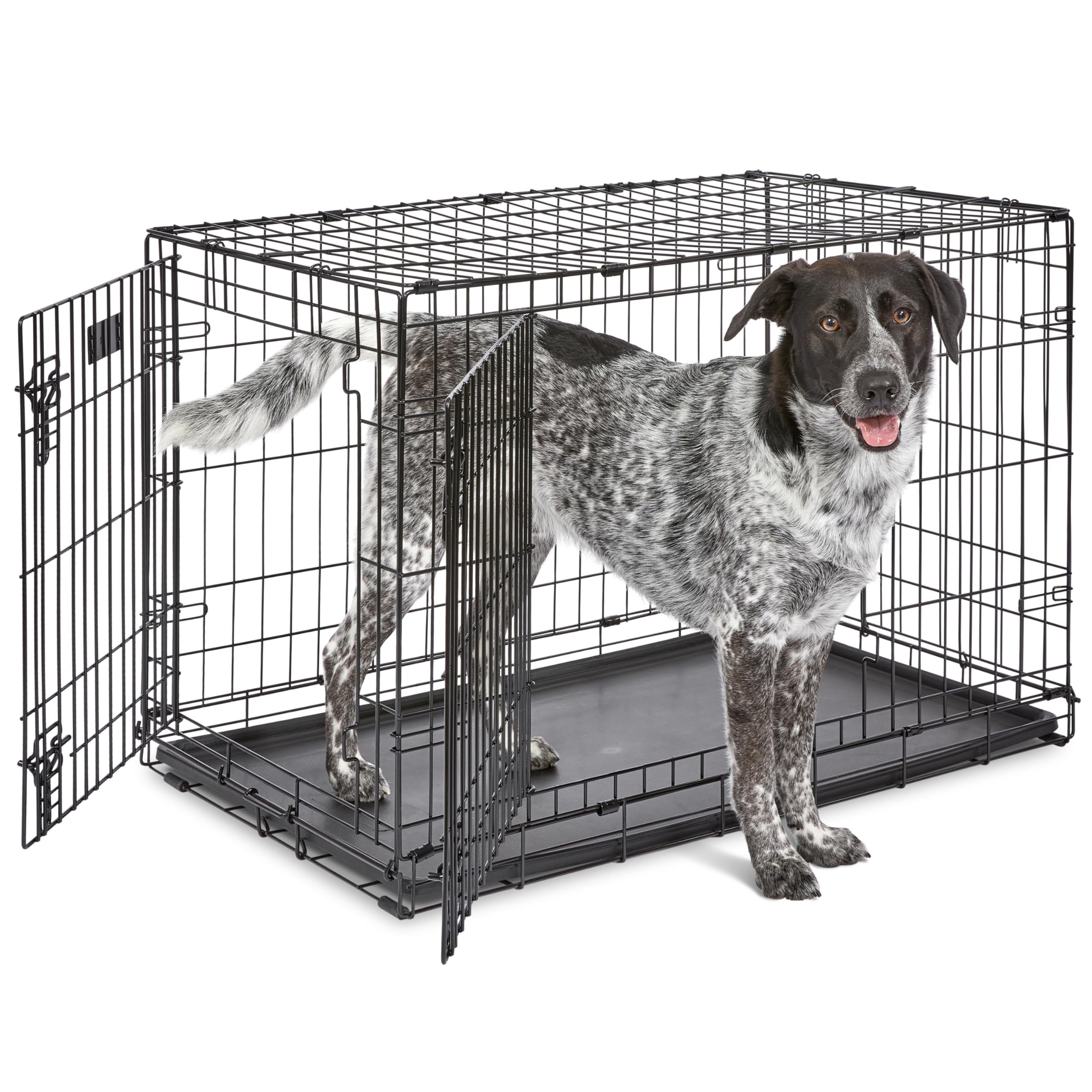 MidWest iCrate — Jaula Plegable de Doble Puerta con Divisor para Perros Medianos