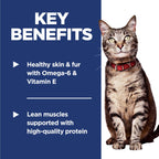 Hill's Science Diet Adult 1-6 — Alimento Seco de Nutrición Premium para Gato Adulto