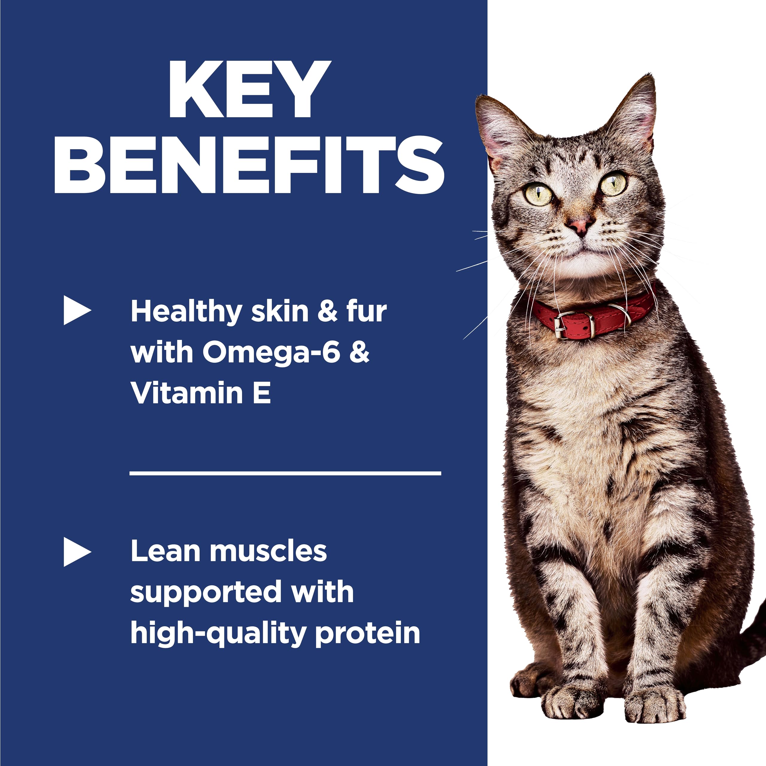 Hill's Science Diet Adult 1-6 — Alimento Seco de Nutrición Premium para Gato Adulto