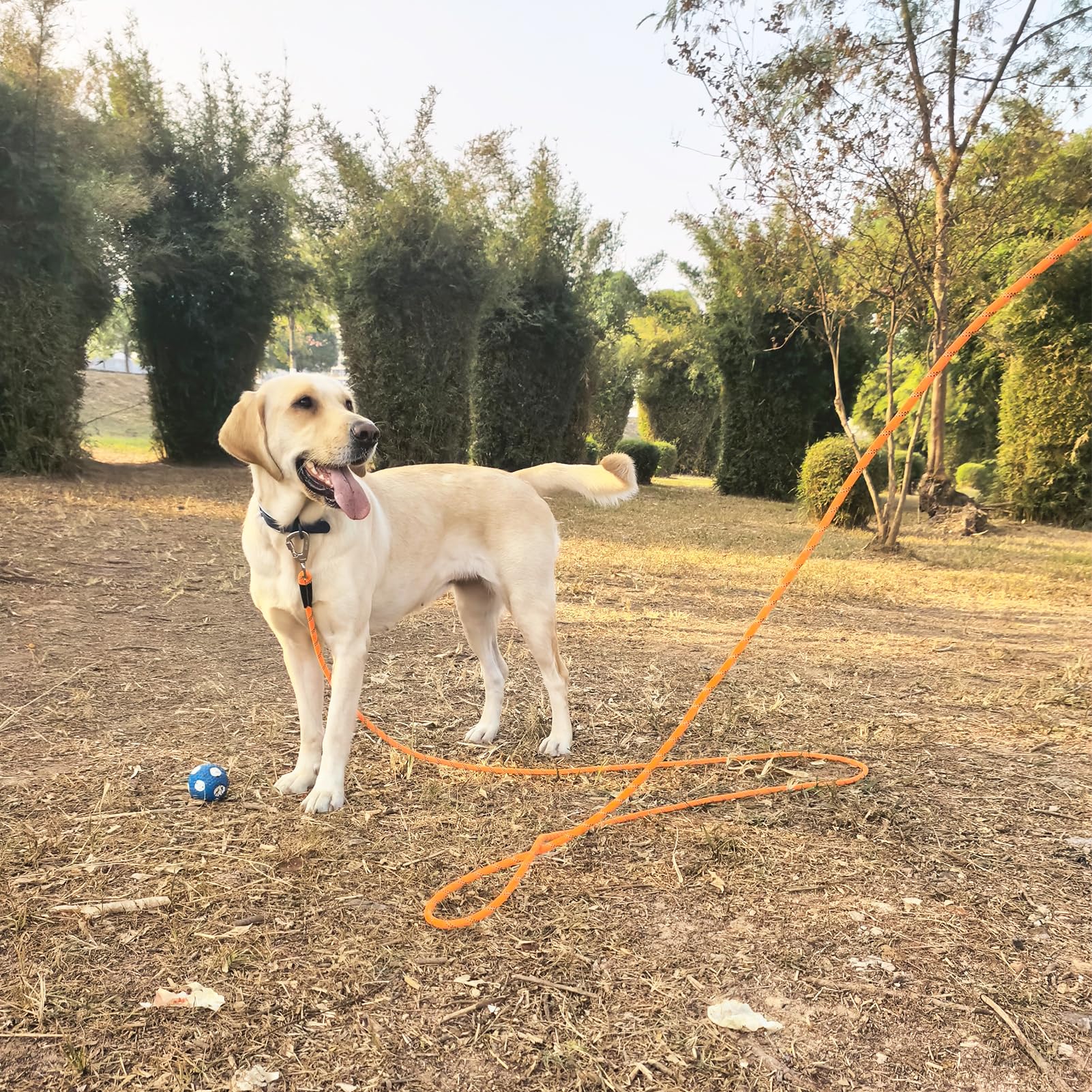 ZALER — Correa de Cuerda Reflectante con Mosquetón para Perros Medianos y Grandes