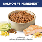 Hill's Science Diet Adult — Croquetas con Proteína de Alta Calidad para Perro Adulto