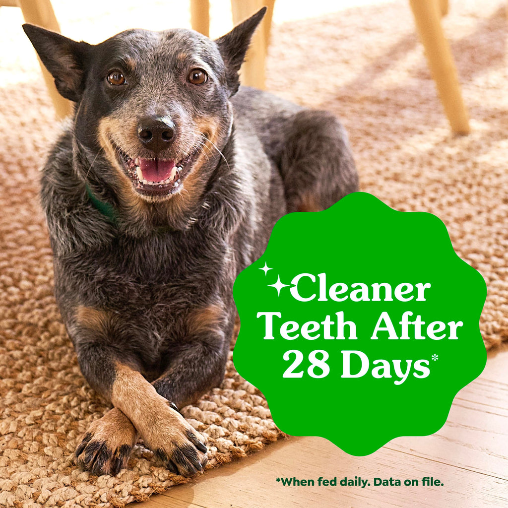 Greenies Teenie — Premios Dentales Naturales para Perro Pequeño