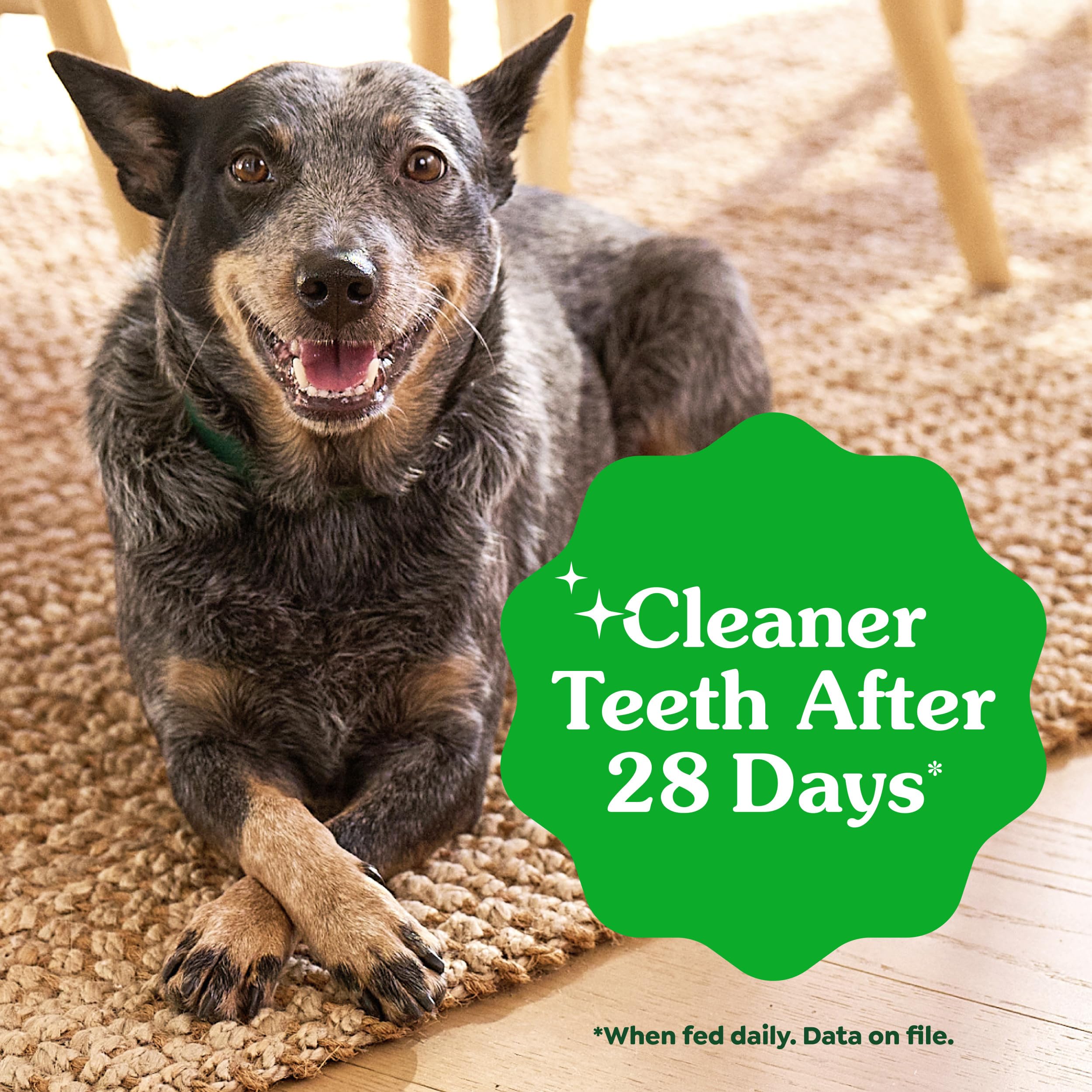 Greenies Teenie — Premios Dentales Naturales para Perro Pequeño
