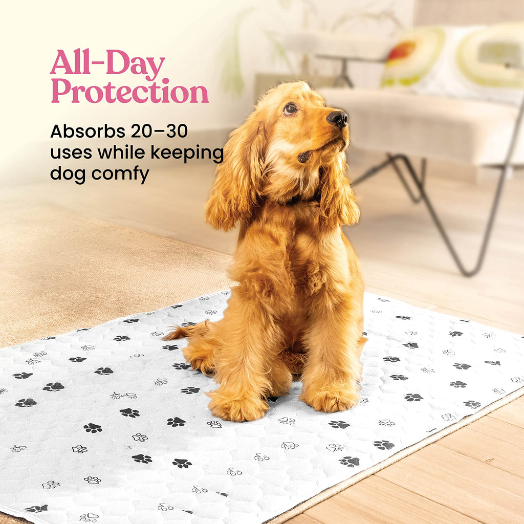 Tapete Entrenador Lavable y Reutilizable para Perros — Protección Impermeable Súper Absorbente contra Orina, Paquete de 2