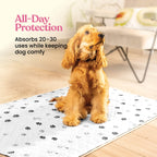 Tapete Entrenador Lavable y Reutilizable para Perros — Protección Impermeable Súper Absorbente contra Orina, Paquete de 2