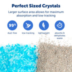 PetSafe ScoopFree — Arena de Cristal con Control de Olores para Gato