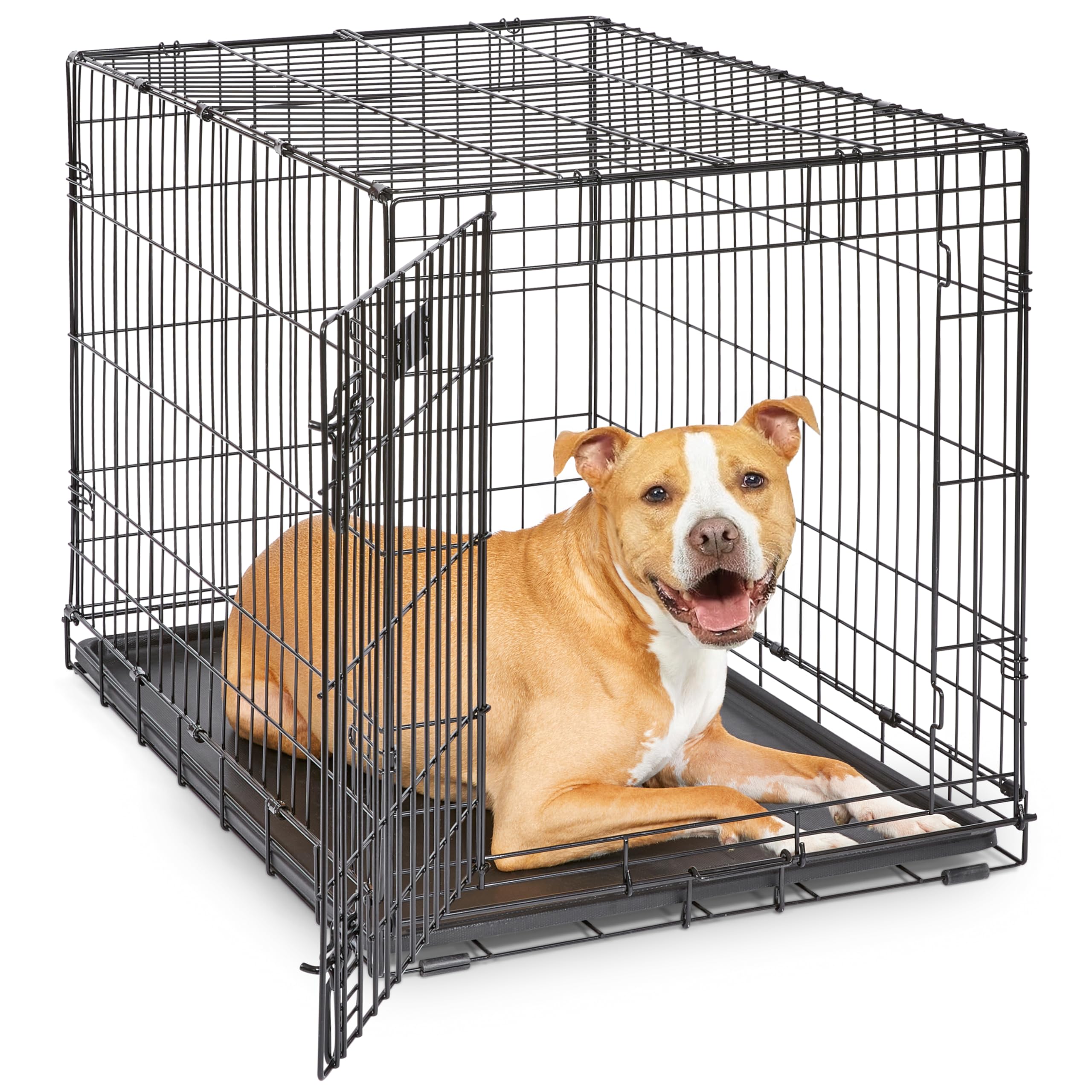 MidWest iCrate — Jaula Plegable de Doble Puerta con Divisor para Perros Medianos