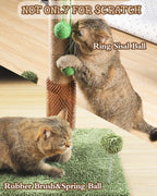 ANWA — Rascador Alto para Gatos Adultos de Interior