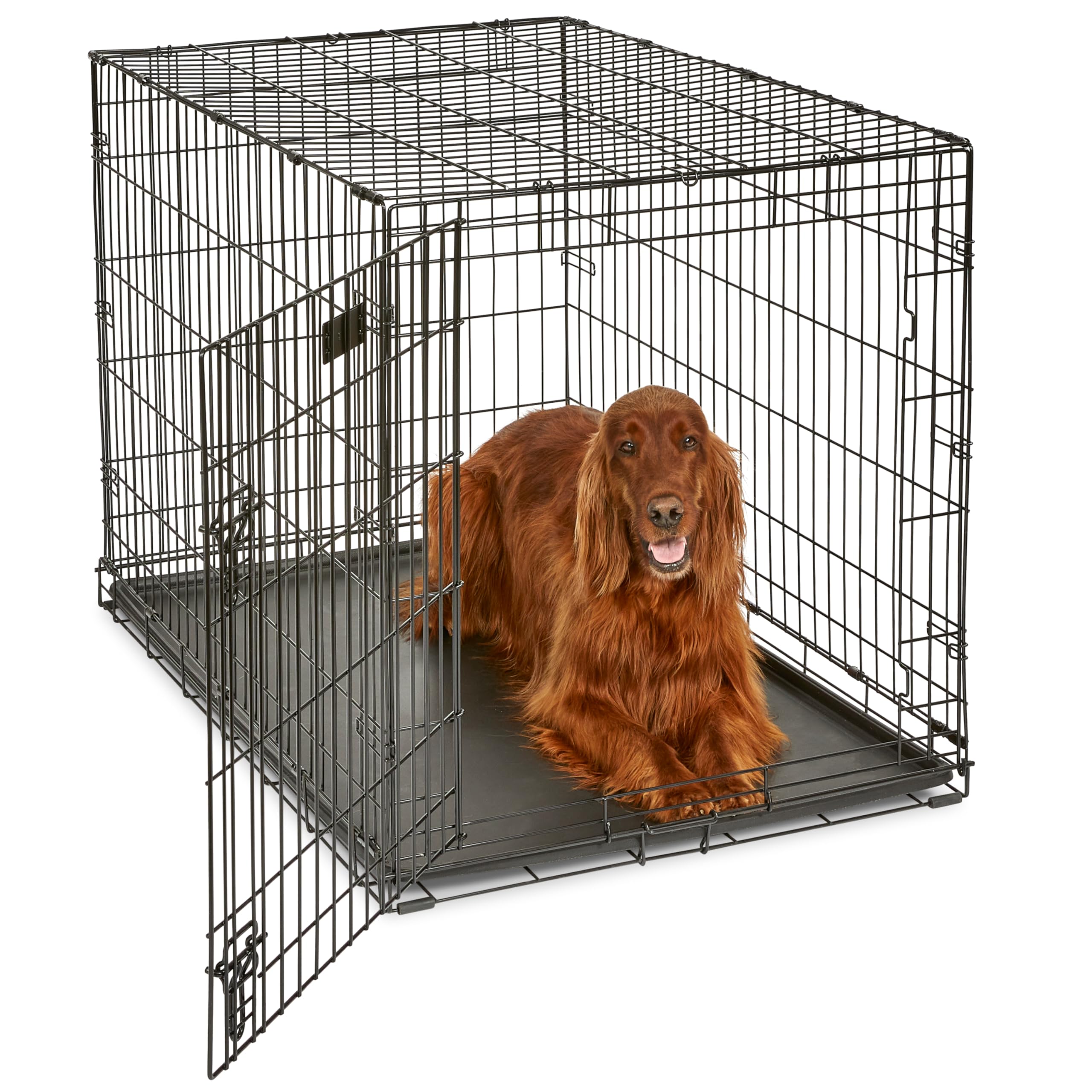 MidWest iCrate — Jaula Plegable de Doble Puerta con Divisor para Perros Medianos