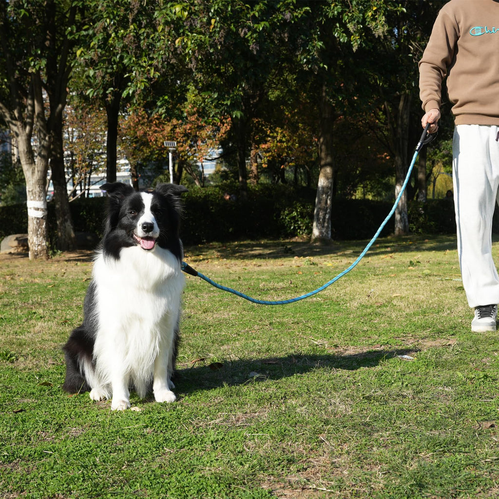 ZALER — Correa de Cuerda Reflectante con Mosquetón para Perros Medianos y Grandes