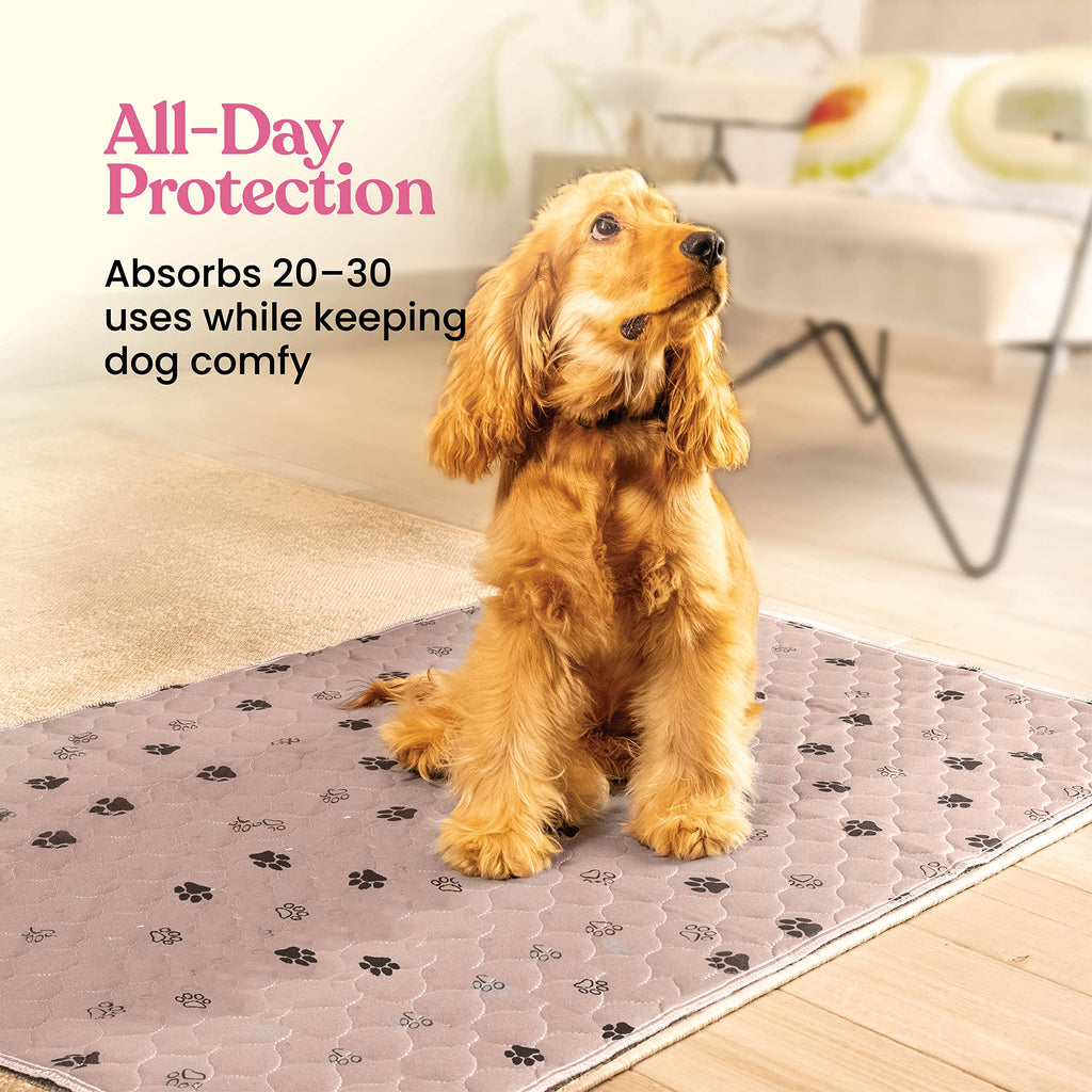 Tapete Entrenador Lavable y Reutilizable para Perros — Protección Impermeable Súper Absorbente contra Orina, Paquete de 2