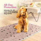 Tapete Entrenador Lavable y Reutilizable para Perros — Protección Impermeable Súper Absorbente contra Orina, Paquete de 2