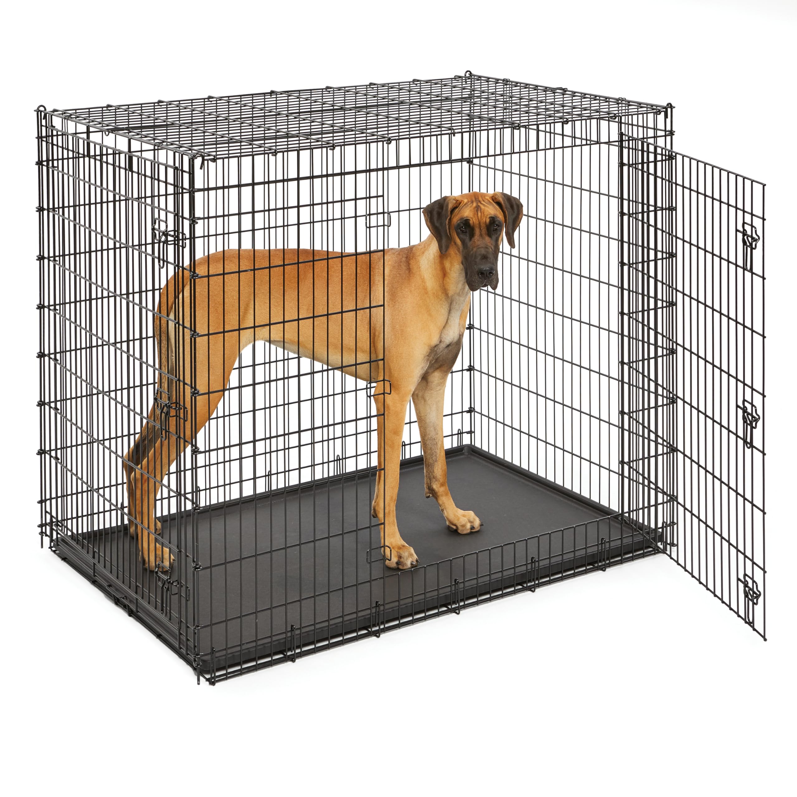 MidWest iCrate — Jaula Plegable de Doble Puerta con Divisor para Perros Medianos