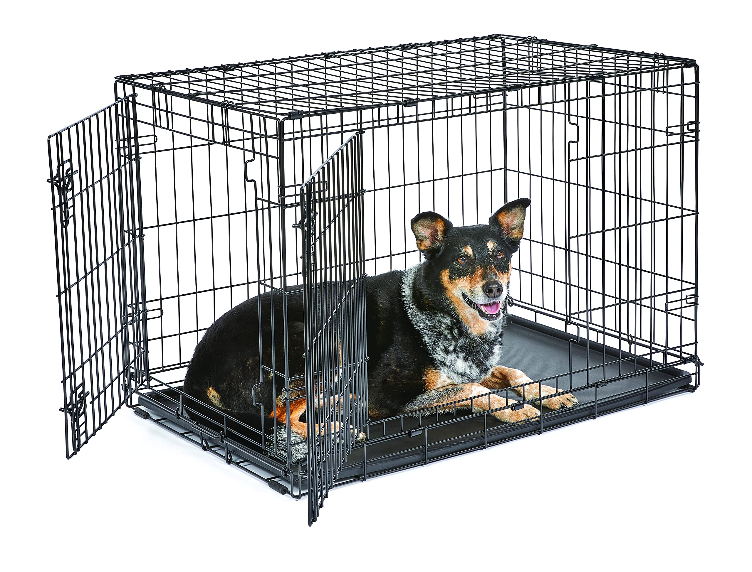 New World — Jaula para Perro Plegable de Metal con Doble Puerta