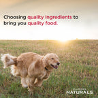 Diamond Naturals Premium — Croquetas con Proteína de Cordero, Superalimentos y Probióticos para Perro Adulto